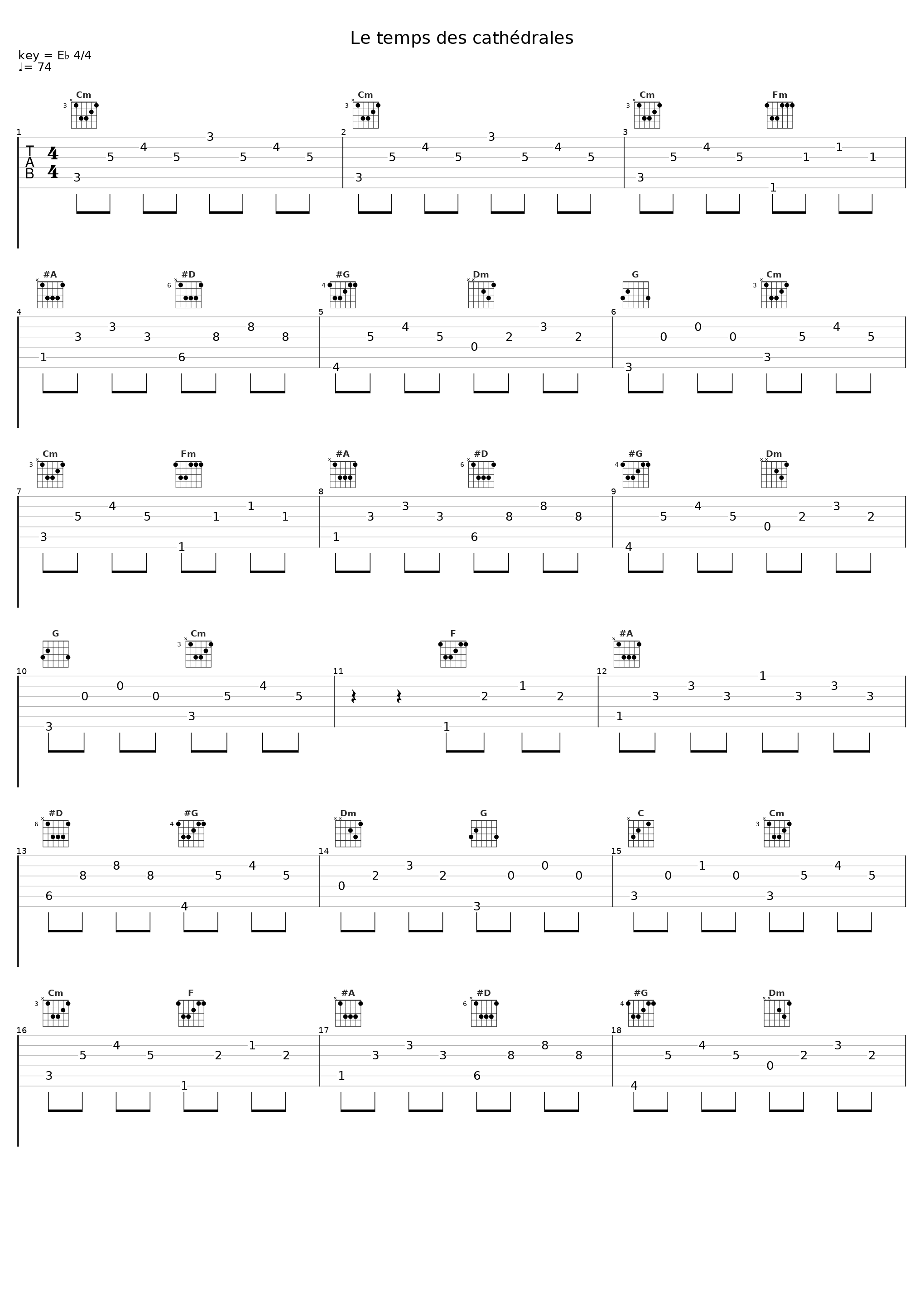 Le temps des cathédrales_Renaud Hantson_1