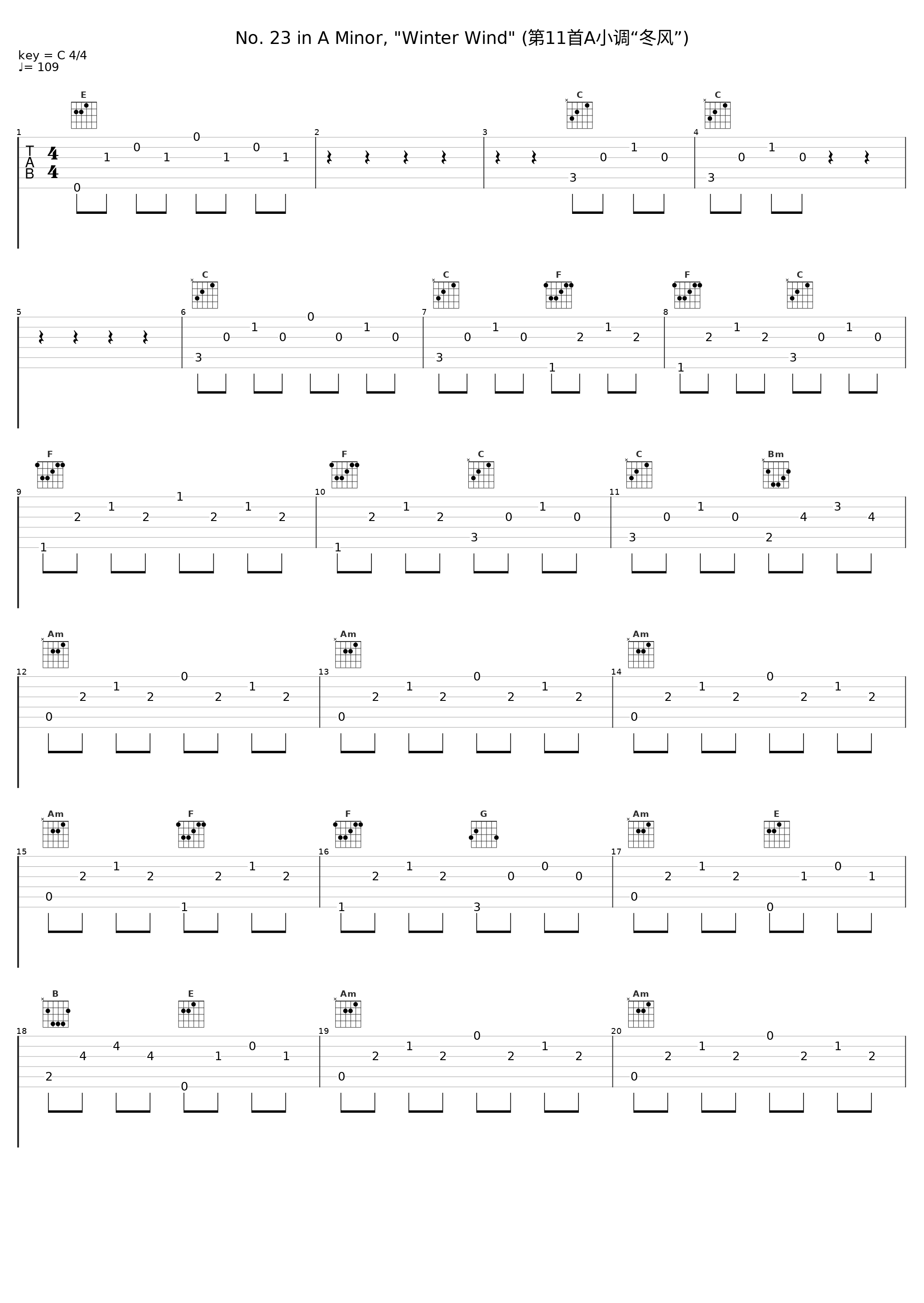 No. 23 in A Minor, "Winter Wind" (第11首A小调“冬风”)_Idil Biret_1