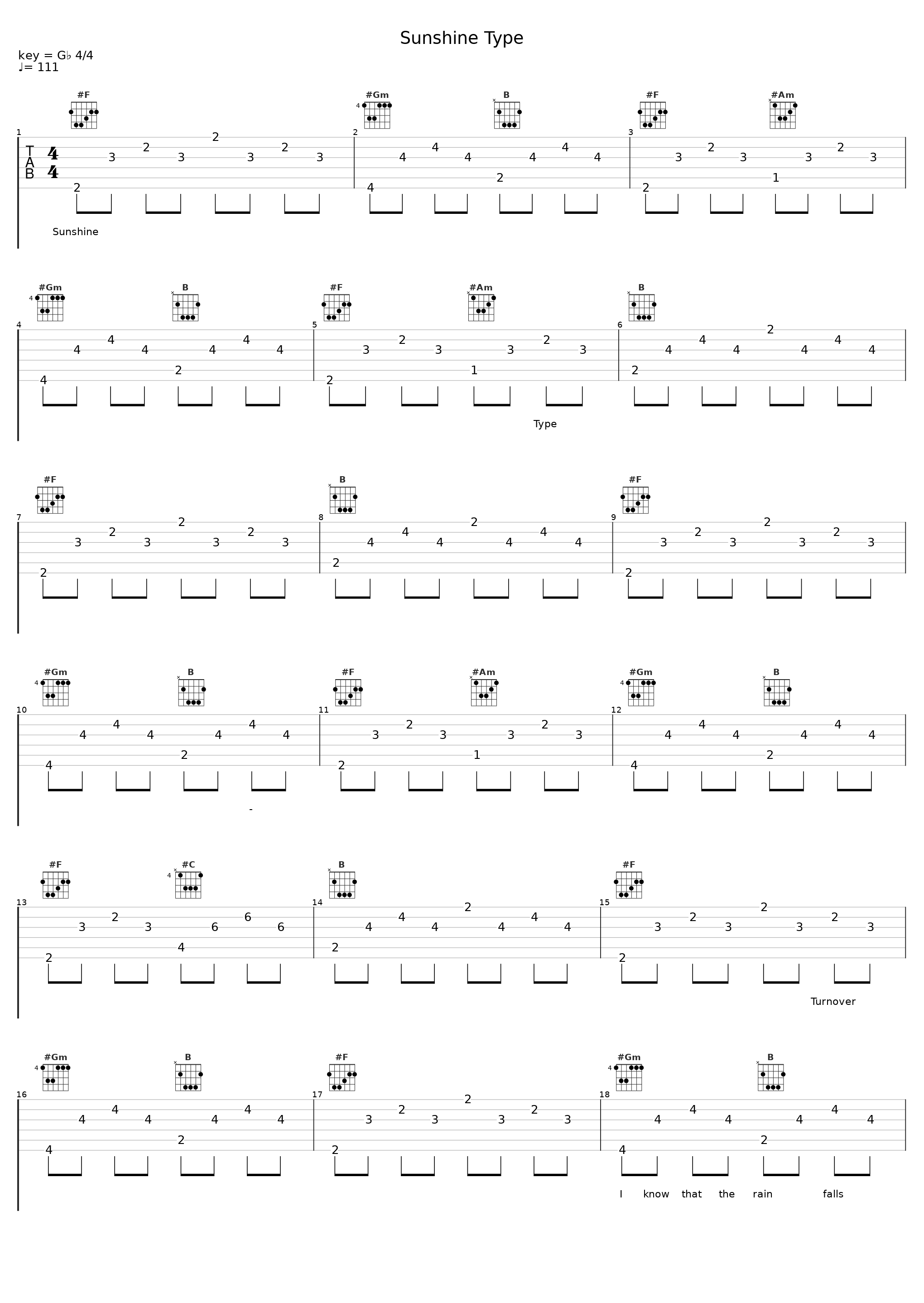 Sunshine Type_Turnover_1