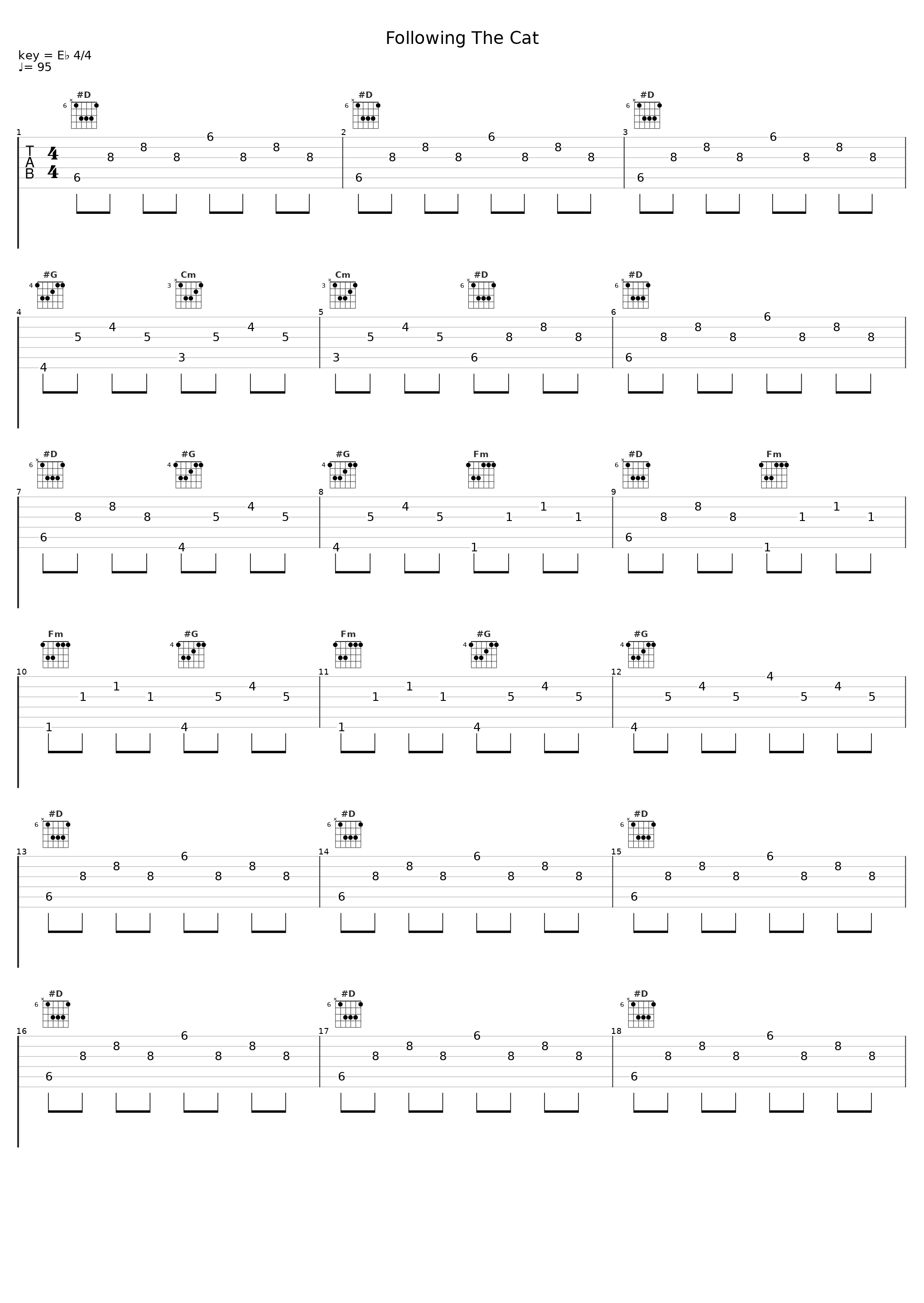 Following The Cat_애쉬뮤트_1