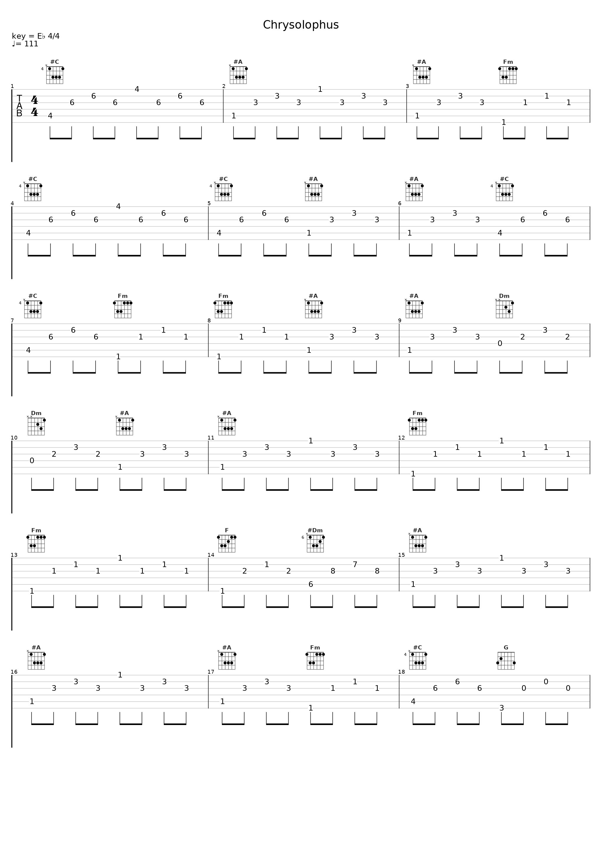 Chrysolophus_Lorne Balfe_1