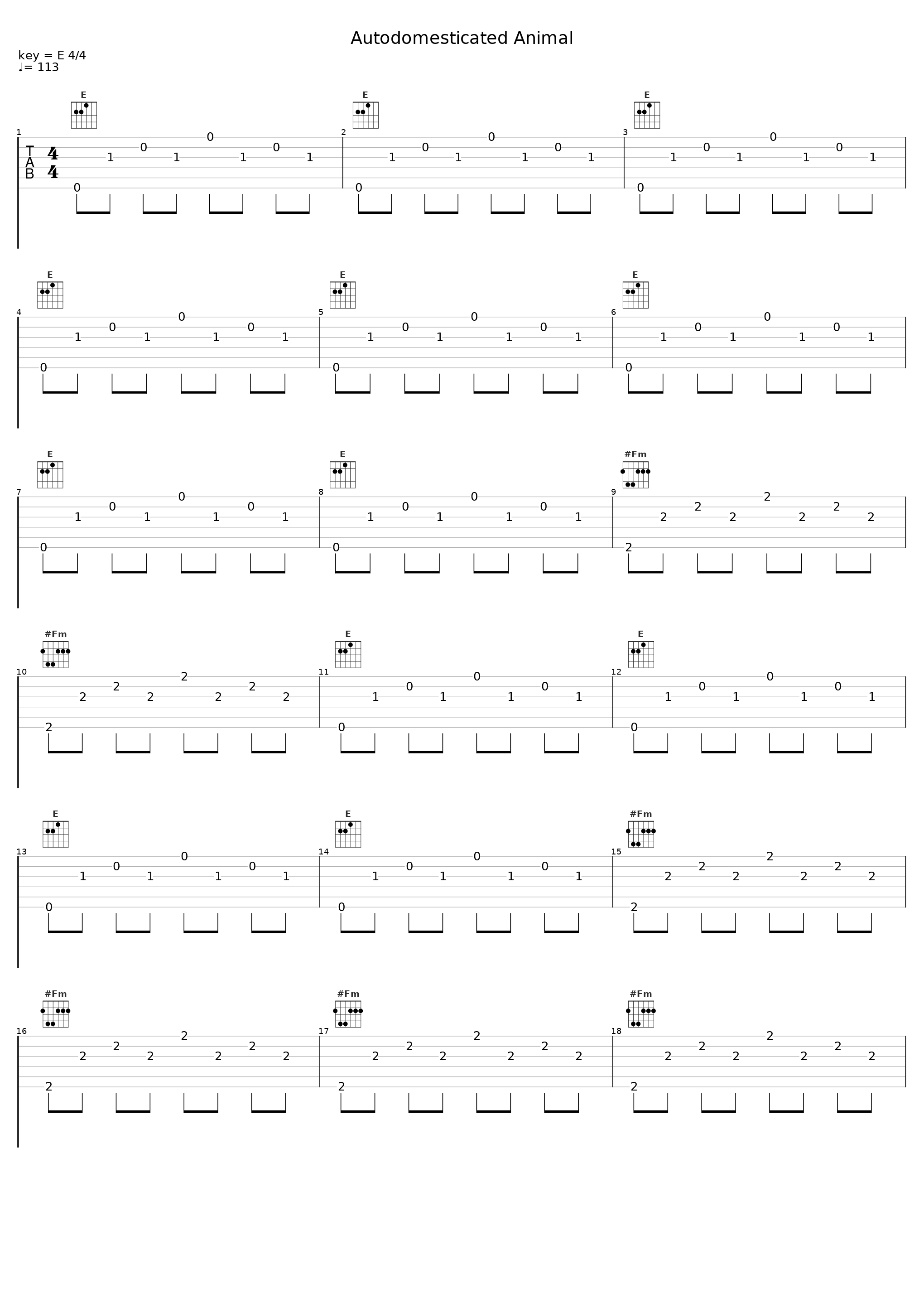 Autodomesticated Animal_Birdtalker_1