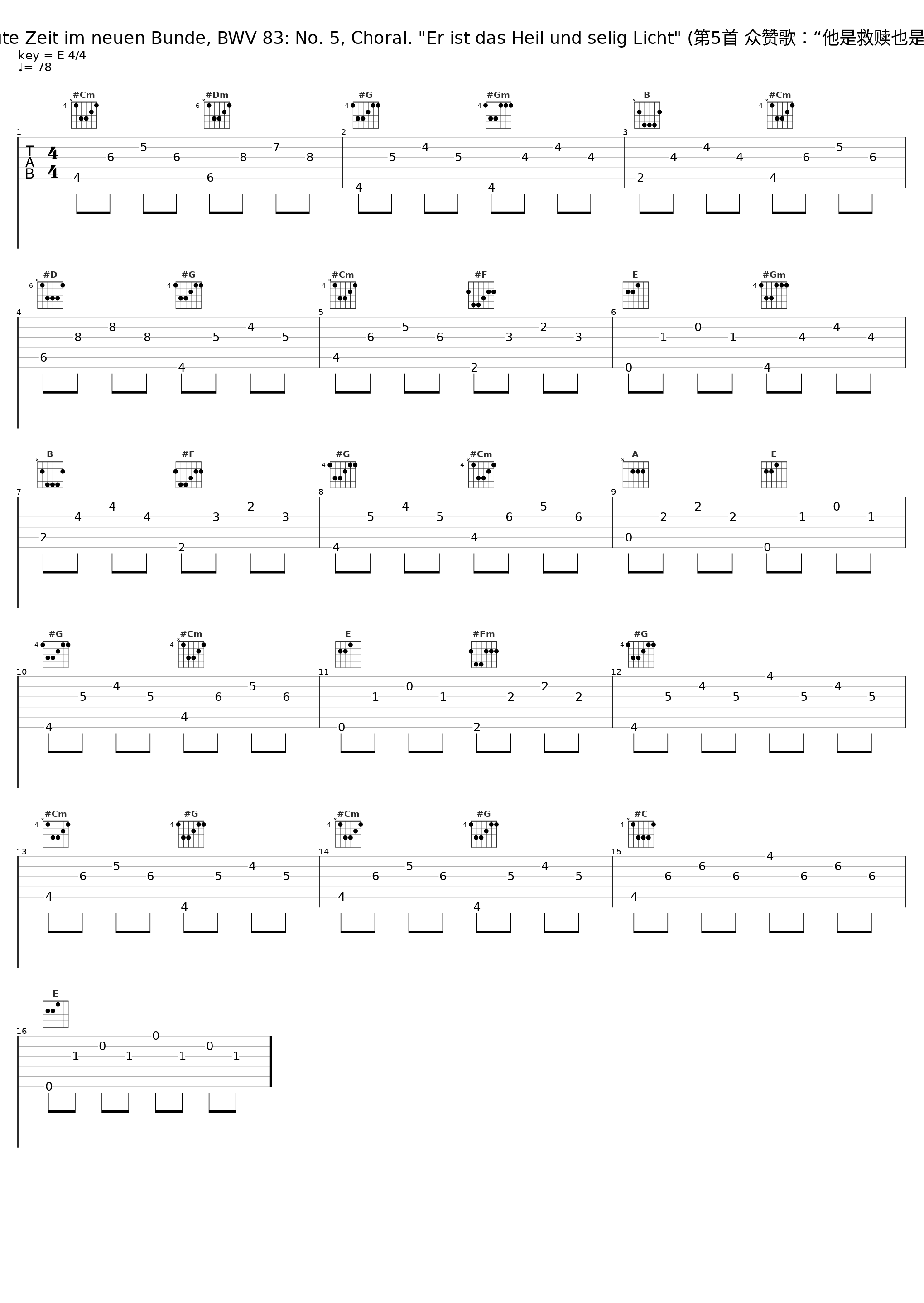 Erfreute Zeit im neuen Bunde, BWV 83: No. 5, Choral. "Er ist das Heil und selig Licht" (第5首 众赞歌：“他是救赎也是恩光”)_Concentus Musicus Wien,Nikolaus Harnoncourt,Chorus Viennensis,Tölzer Knabenchor,Wiener Sängerknaben_1