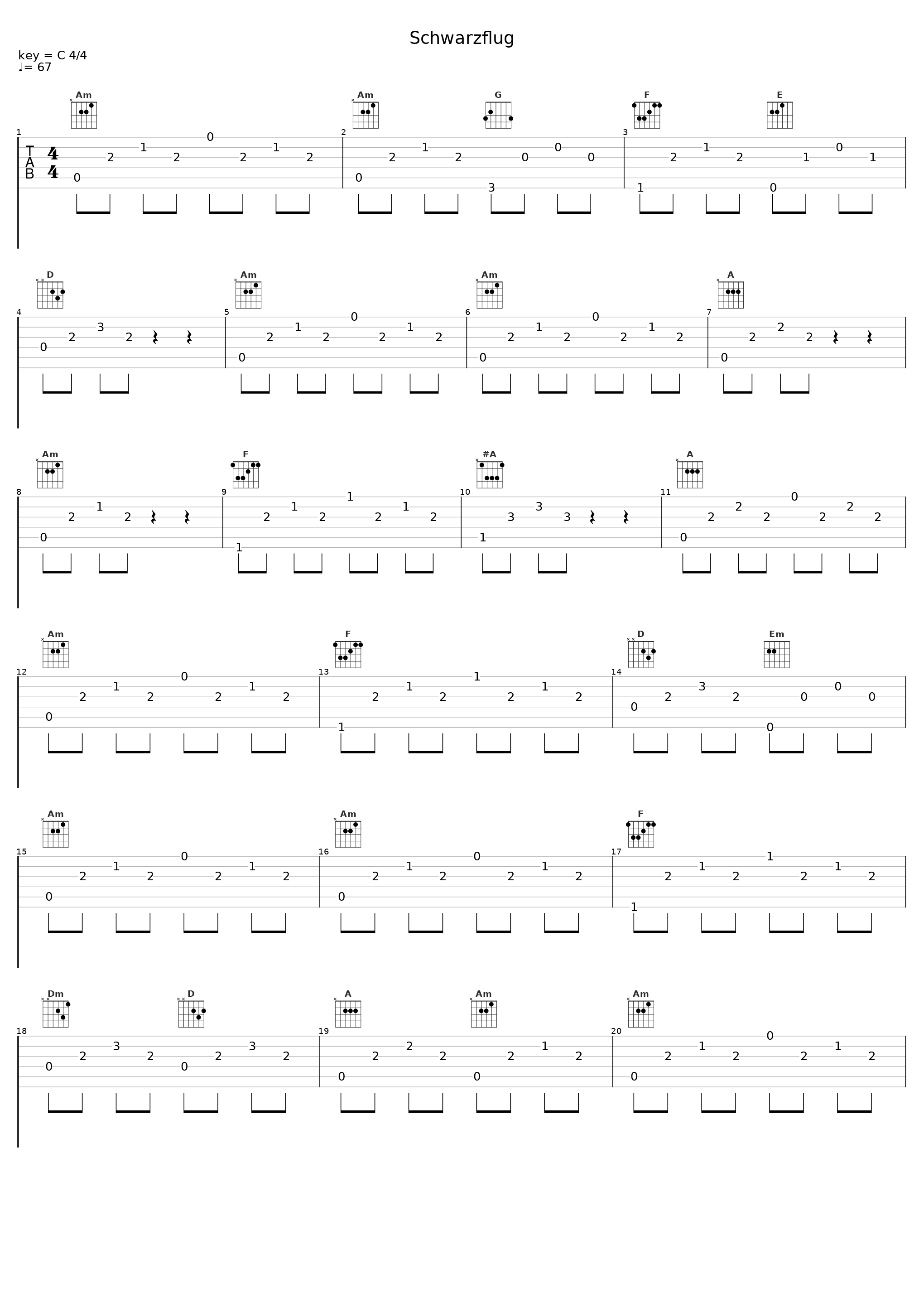 Schwarzflug_Bilderbuch_1