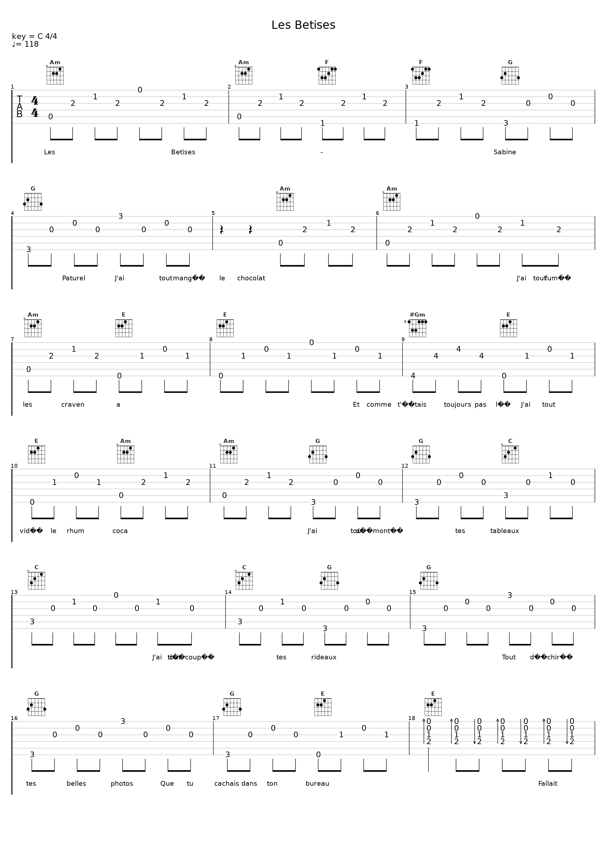 Les Betises_Sabine Paturel_1
