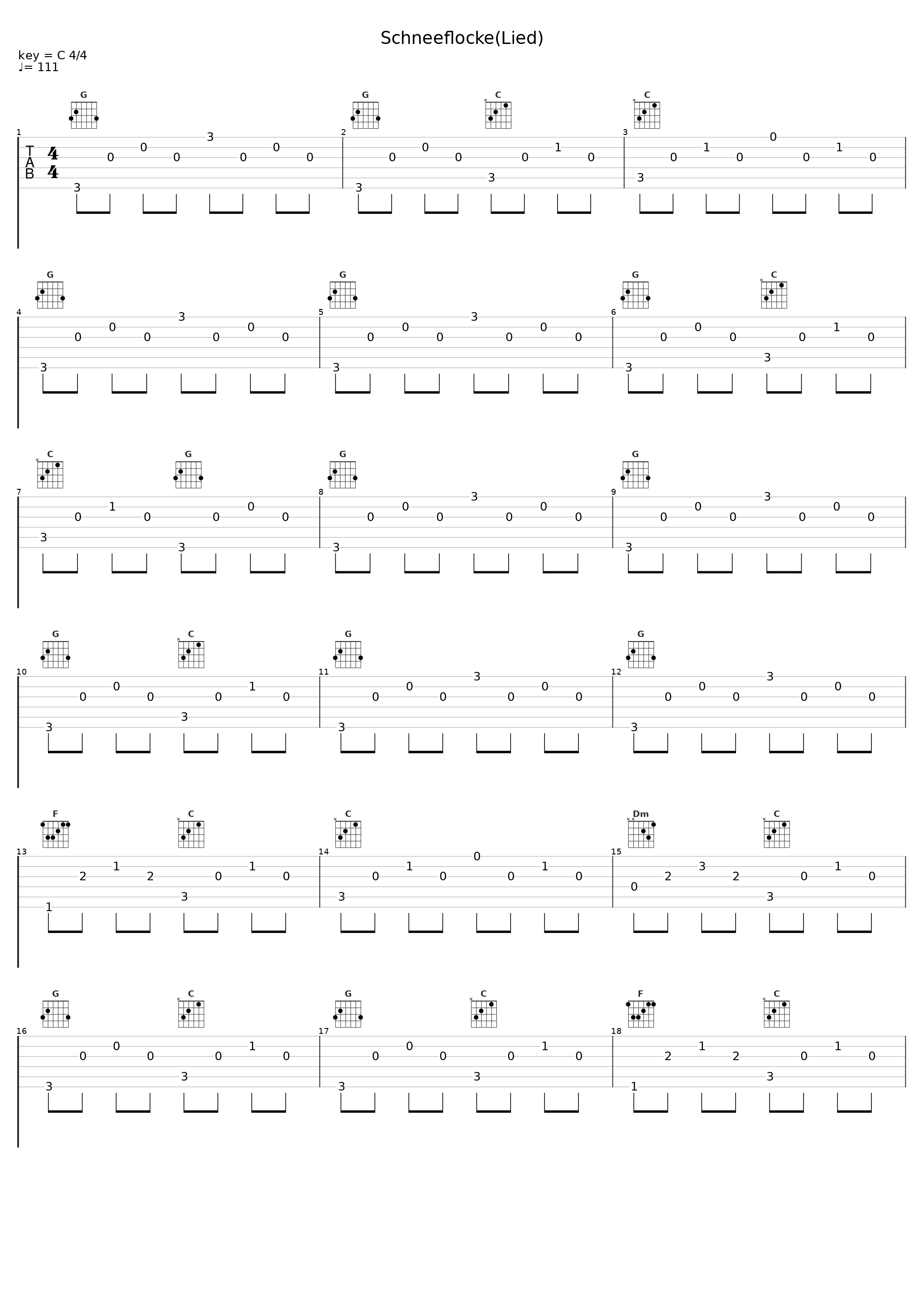Schneeflocke(Lied)_Willemijn Verkaik_1
