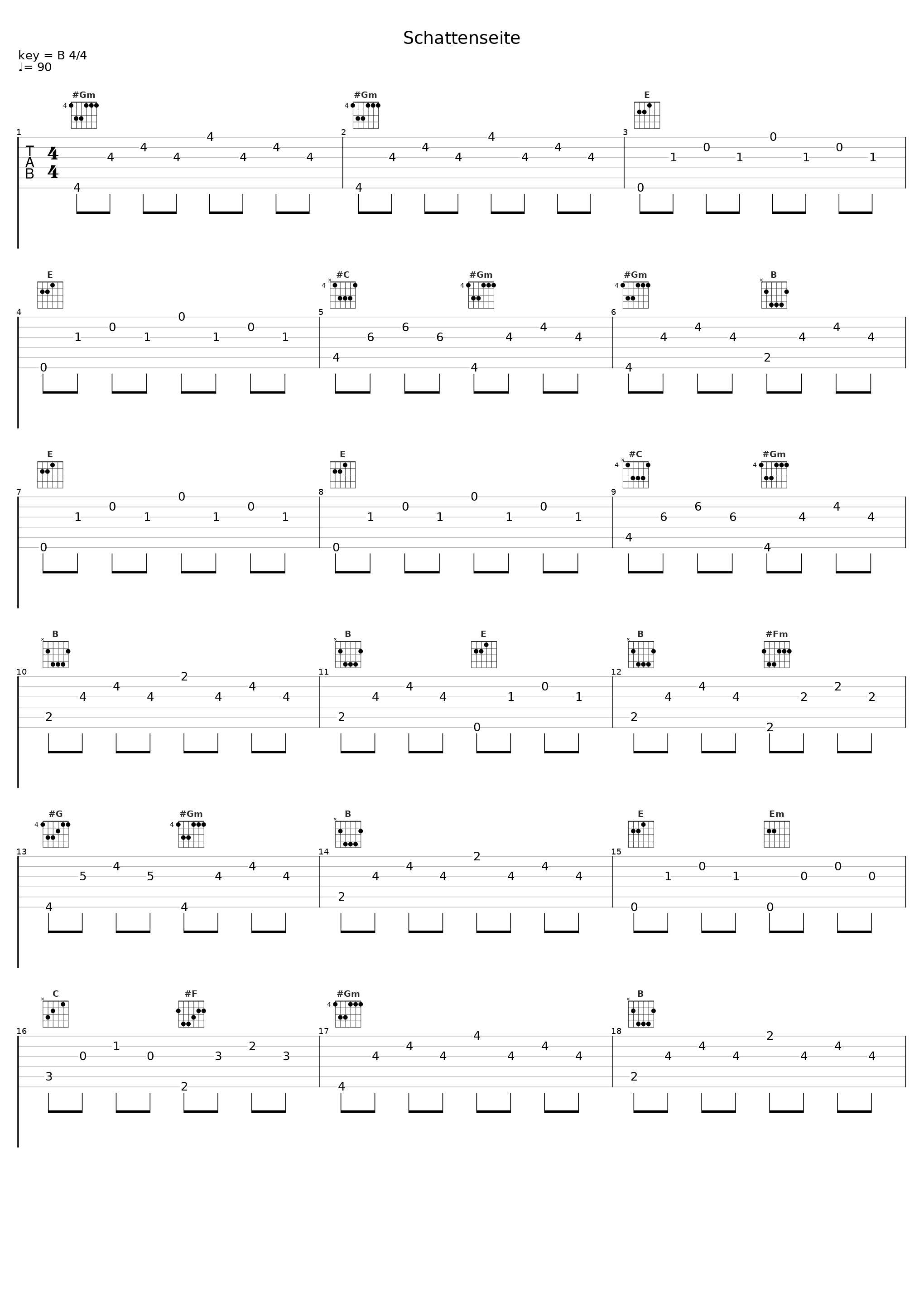 Schattenseite_Brado,Doan_1