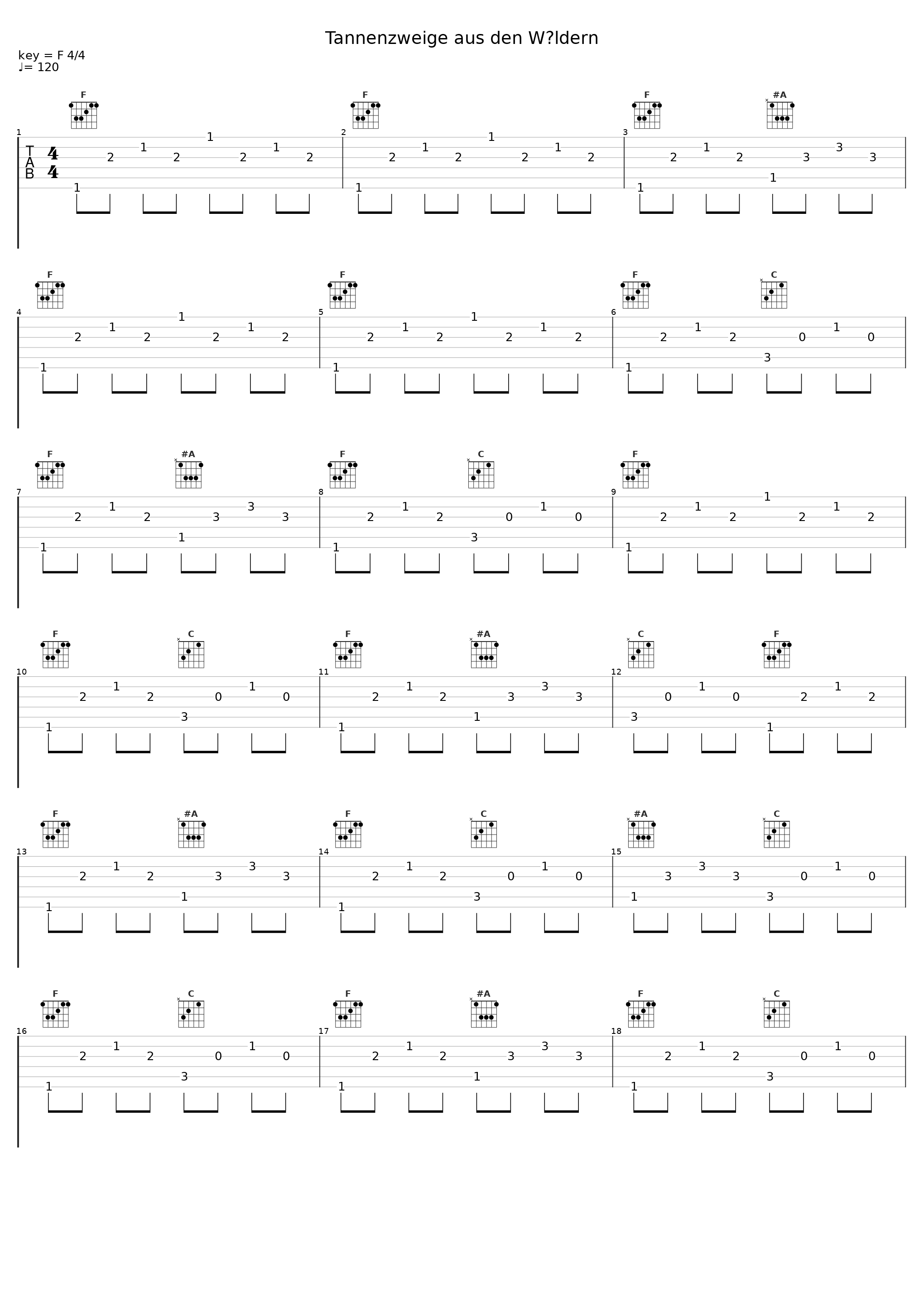 Tannenzweige aus den Wäldern_Reinhard Horn_1