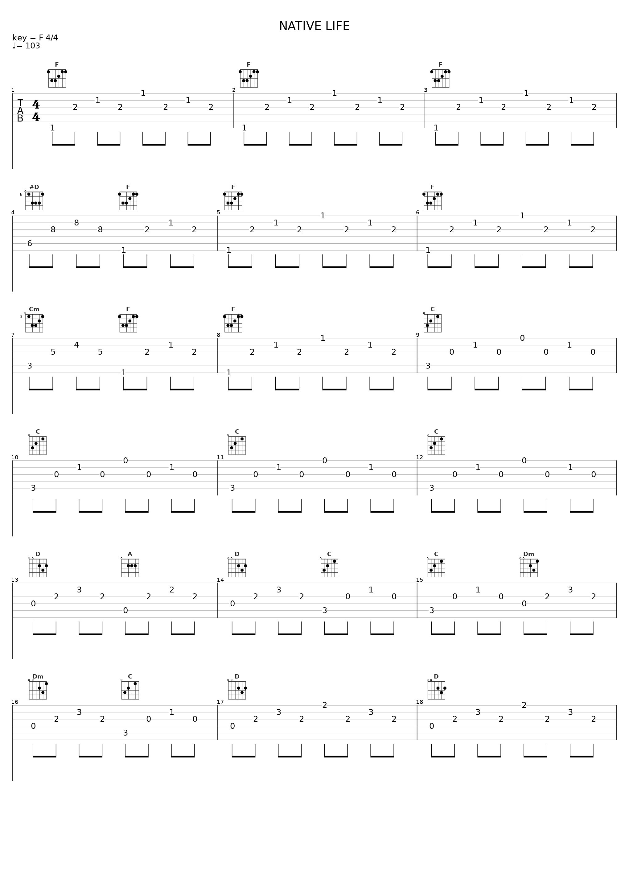 NATIVE LIFE_下村阳子_1