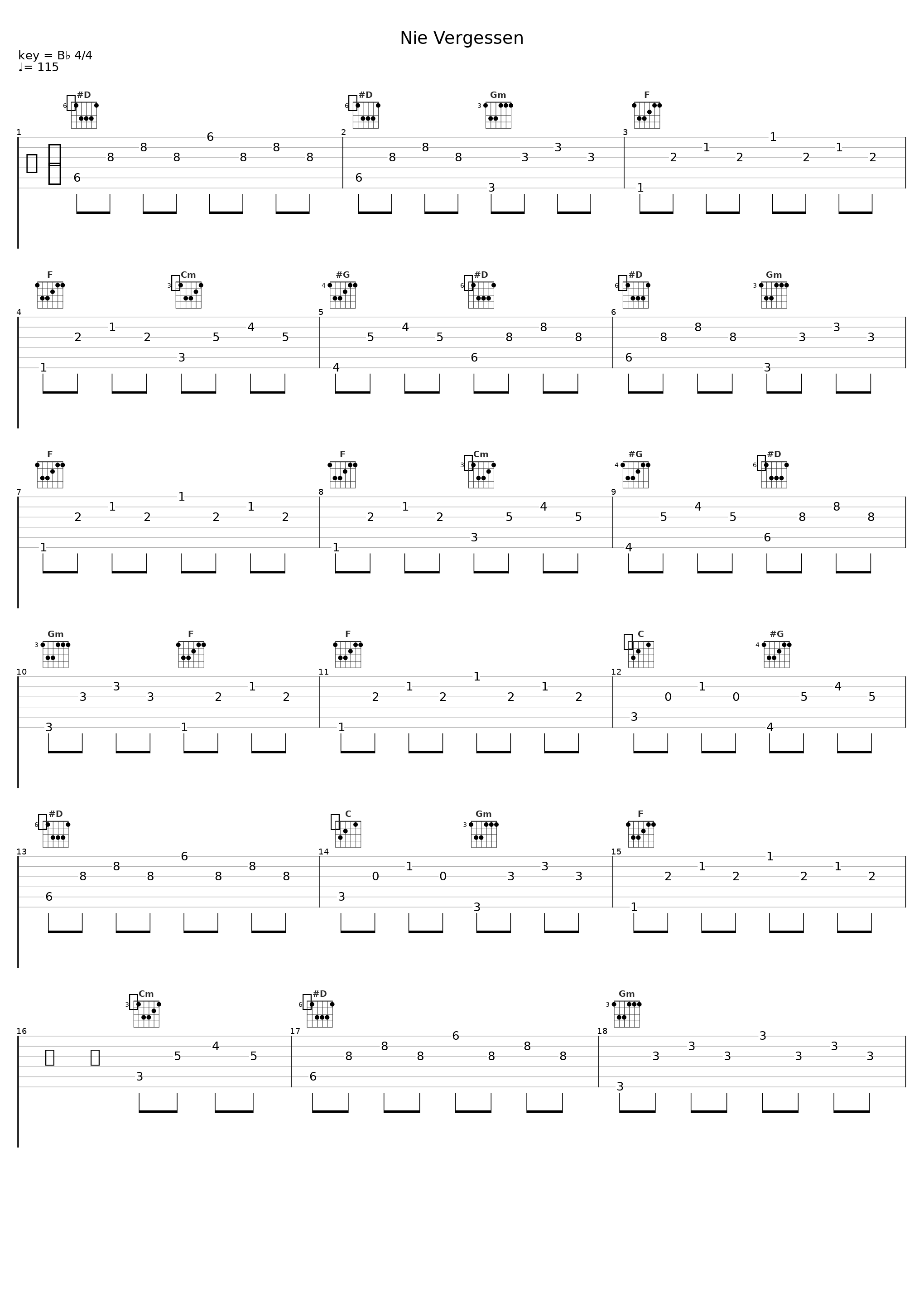 Nie Vergessen_Fuju,Joel Brandenstein_1
