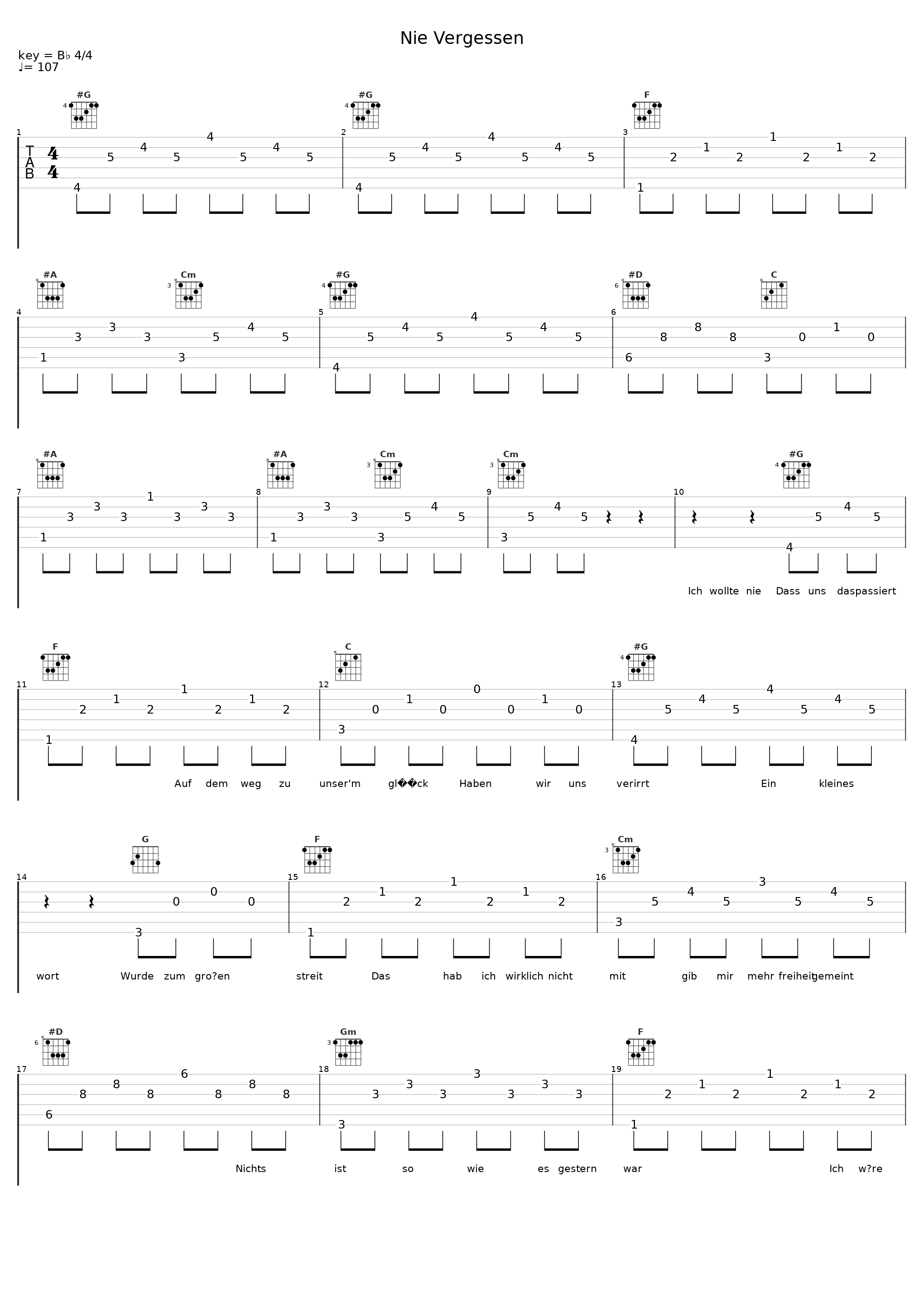 Nie Vergessen_Fuju,Joel Brandenstein_1