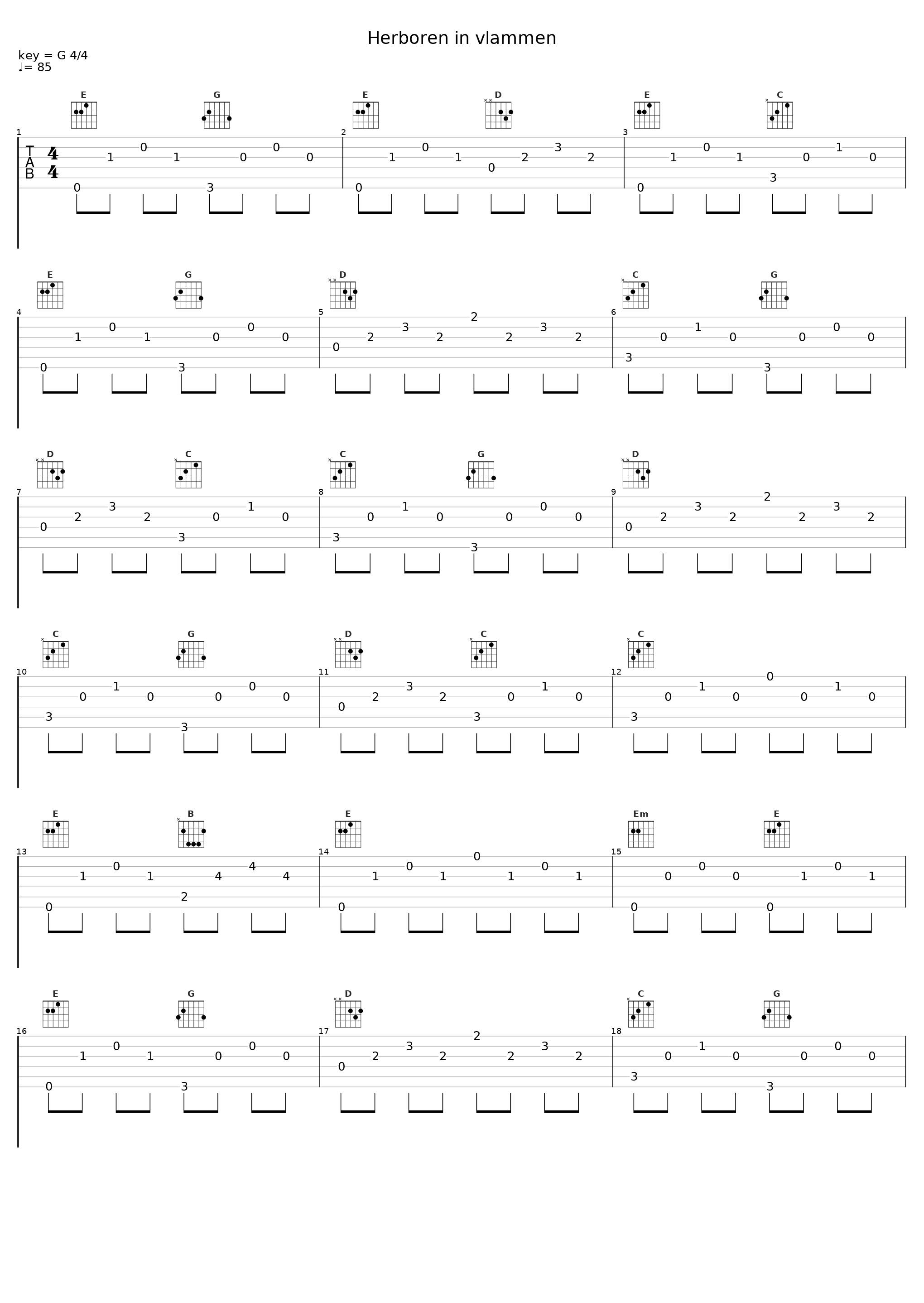 Herboren in vlammen_Heidevolk_1