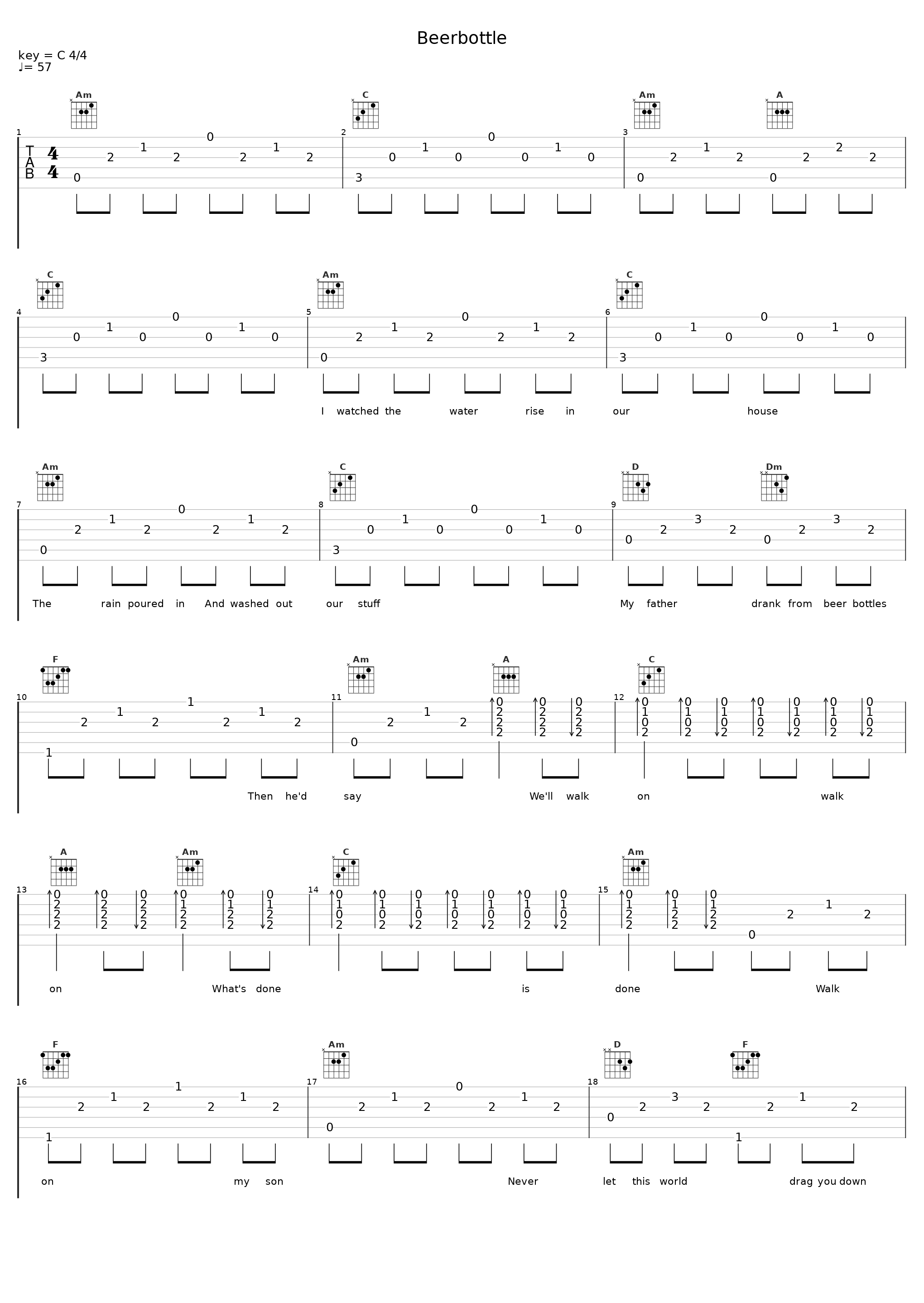 Beerbottle_Stereophonics_1