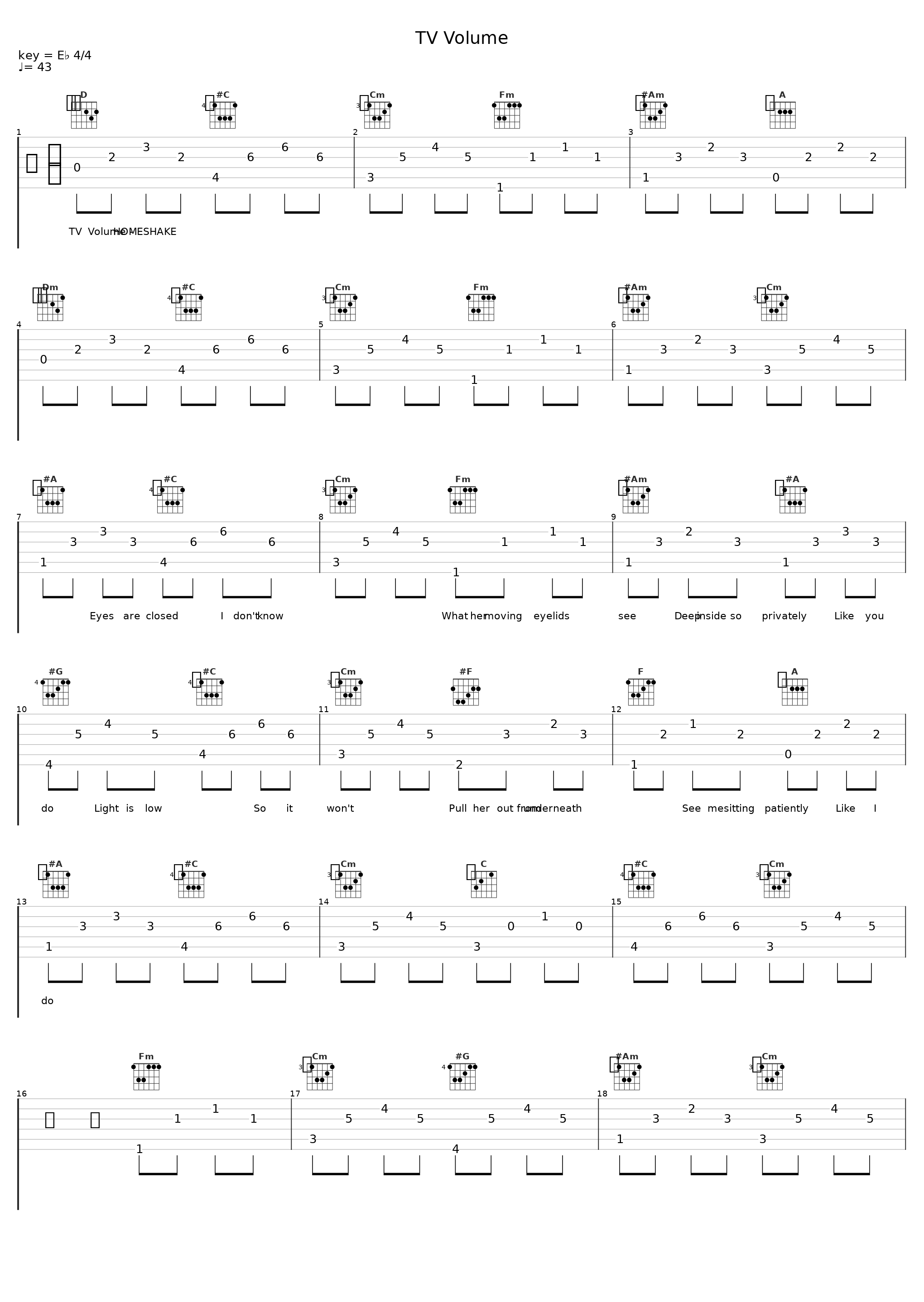 TV Volume_HOMESHAKE_1