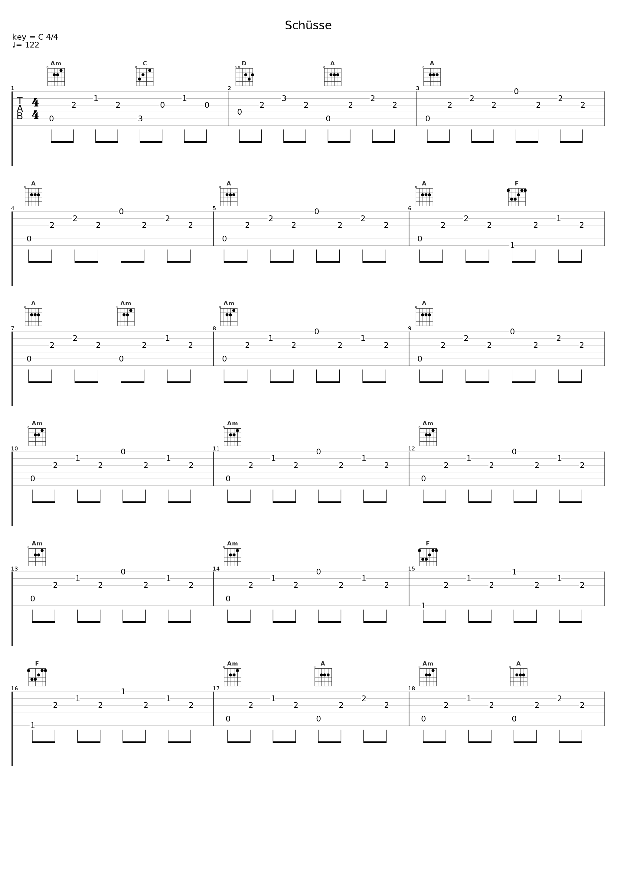 Schüsse_VAN HOLZEN_1