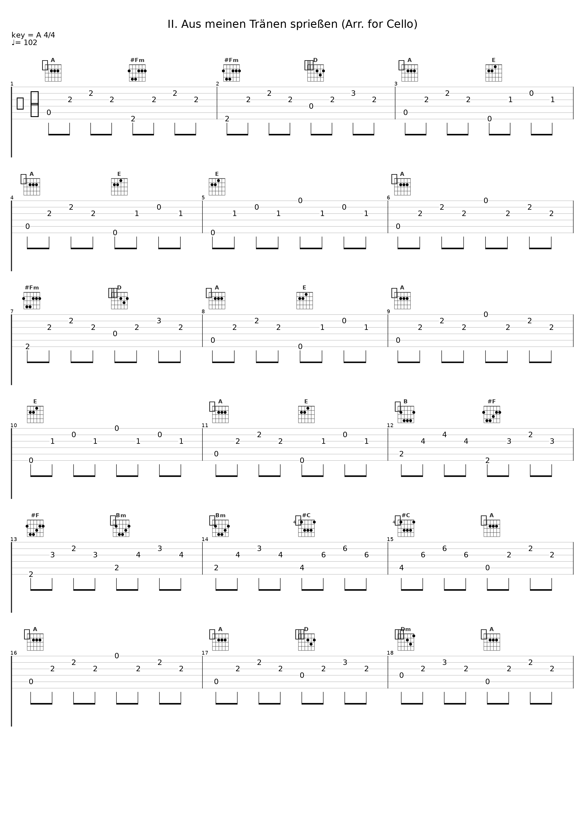 II. Aus meinen Tränen sprießen (Arr. for Cello)_Claudio Bohorquez,Péter Nagy_1