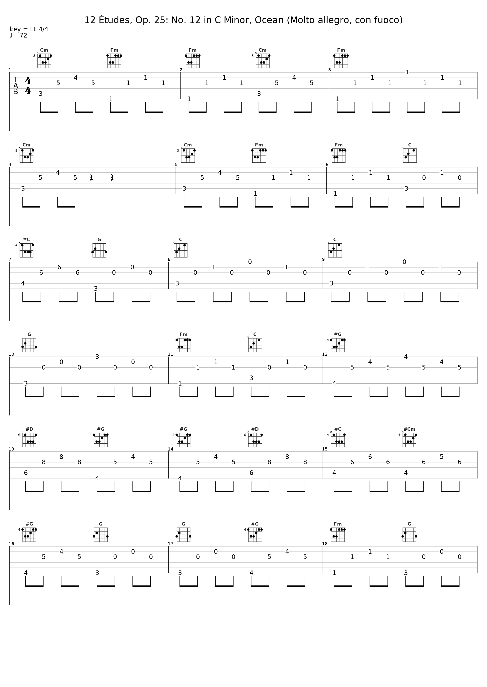 12 Études, Op. 25: No. 12 in C Minor, Ocean (Molto allegro, con fuoco)_Véronique Bonnecaze,Frédéric Chopin_1