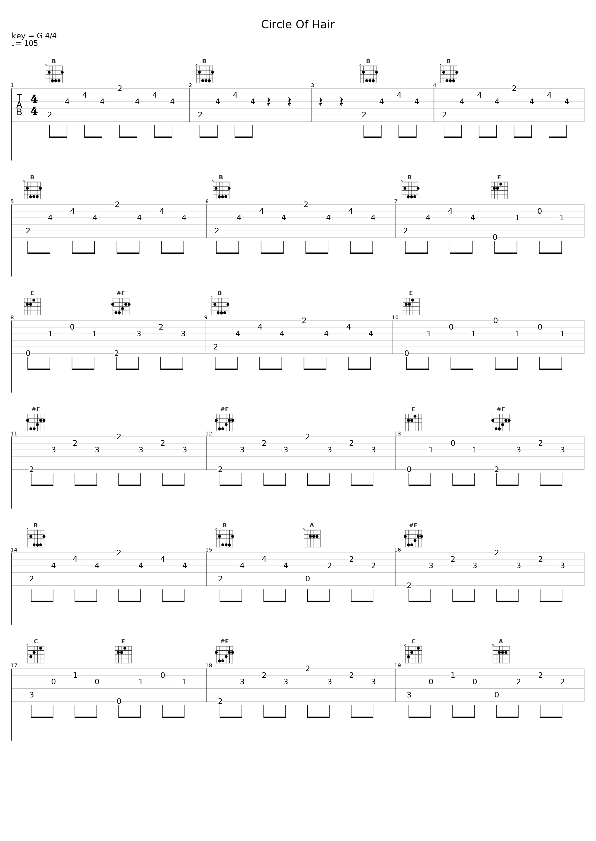 Circle Of Hair_AKIMBO_1