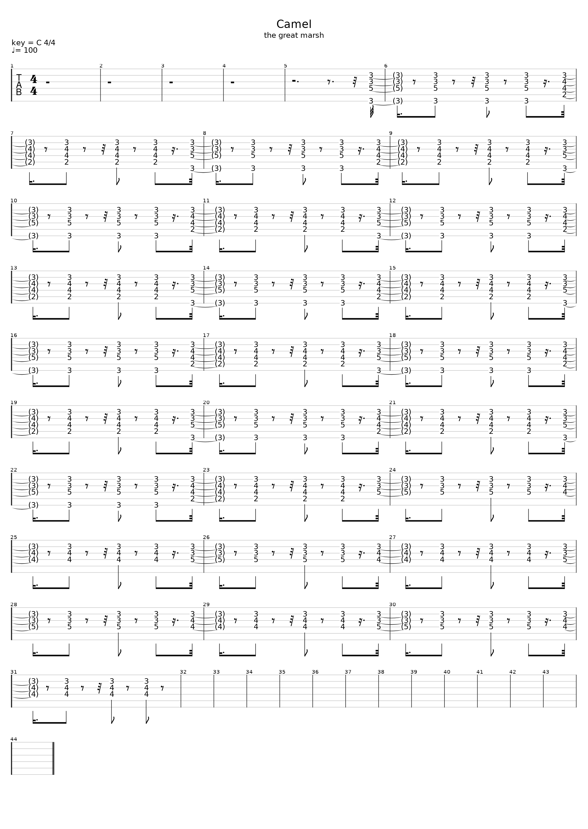 The Great Marsh_Camel_1