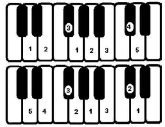 Finger Numbers|SheetMusicGo