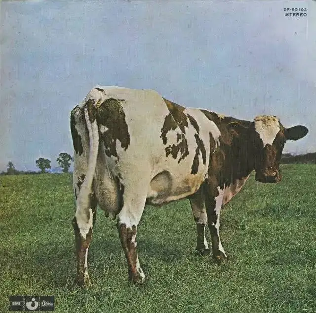Pink Floyd's|SheetMusicGo