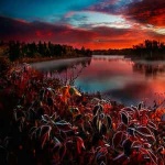 “Red River Valley”钢琴课程-American Traditional-天天钢琴