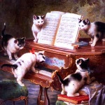 “踩到貓兒”钢琴课程-Traditional-天天钢琴