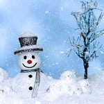 “结霜的雪人”钢琴课程-Jack Rollins, Steve Nelson-天天钢琴