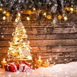 “我們祝你聖誕快樂”钢琴课程-English Traditional-天天钢琴