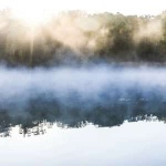 “Misty”钢琴课程-Erroll Garner-天天钢琴