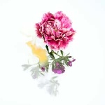 “First Lessons No. 9, Op. 117”钢琴课程-Cornelius Gurlitt-天天钢琴