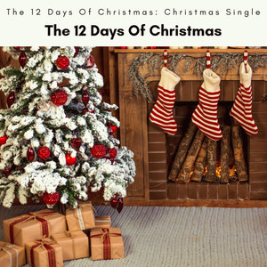 The 12 Days Of Christmas