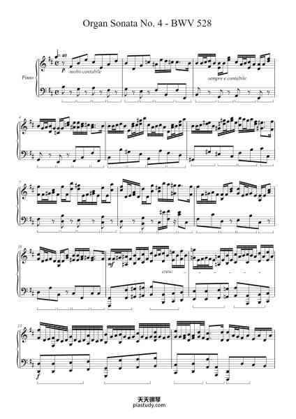 “Organ Sonata No. 4 in E Minor, BWV 528: II. Andante [Adagio]”钢琴谱- Transcribed By August Stradal 
Arranged By Lukas Steinwandel
In the style of Vikingur Ólafsson 
-免费下载-天天钢琴