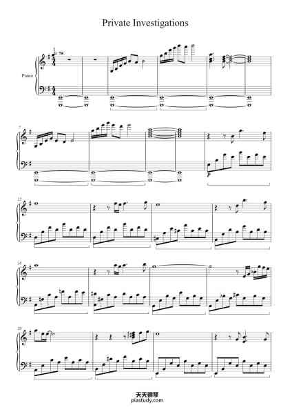 “Private Investigations”钢琴谱-Arranged by Geert Smits

-免费下载-天天钢琴