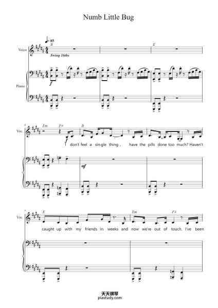 “Numb Little Bug”钢琴谱-Em Beihold-免费下载-天天钢琴