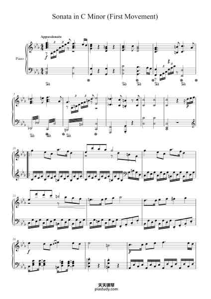 “Sonata in C Minor (First Movement)”钢琴谱-Shourjo Chakravarty-免费下载-天天钢琴