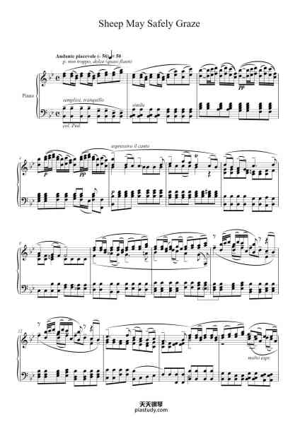 “Sheep May Safely Graze, BWV 208: No. 9”钢琴谱-Arranged by EGON PETRI-免费下载-天天钢琴