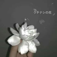 A Comme Amour_Richard Clayderman