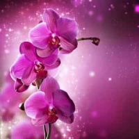Ashes_Celine Dion