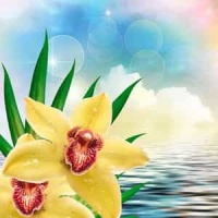 Water Music - Alla Hornpipe In D_George Frideric Handel