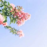 How Could You_Jessie Murph