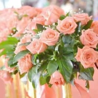 Pianomand_Kim Larsen