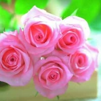 My Final Despair_To Each His Own