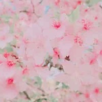 Worried Man Blues_Jerry Silverman