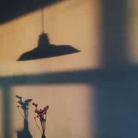 Cobarde Tentacion_Kim Morrison