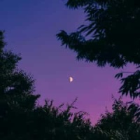 What The World Will Never Take_Hillsong United