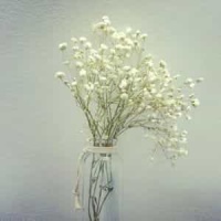 Ragpickin_Richard Saslow