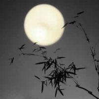 Raven In The Dark_Dramatic Morals