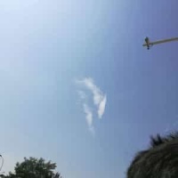 Gavotte_George Frideric Handel