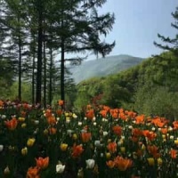 志明與春嬌_Mayday (五月天)